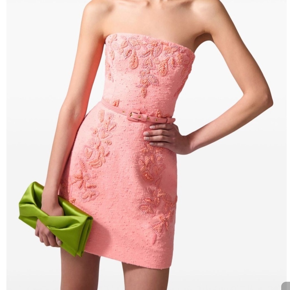New CAROLINA HERRERA Runaway Embroidered Mini Dress In Pink Size 6 - Picture 7 of 16